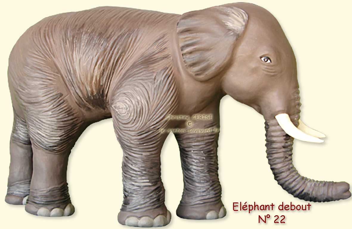 N°22 Elephant debout